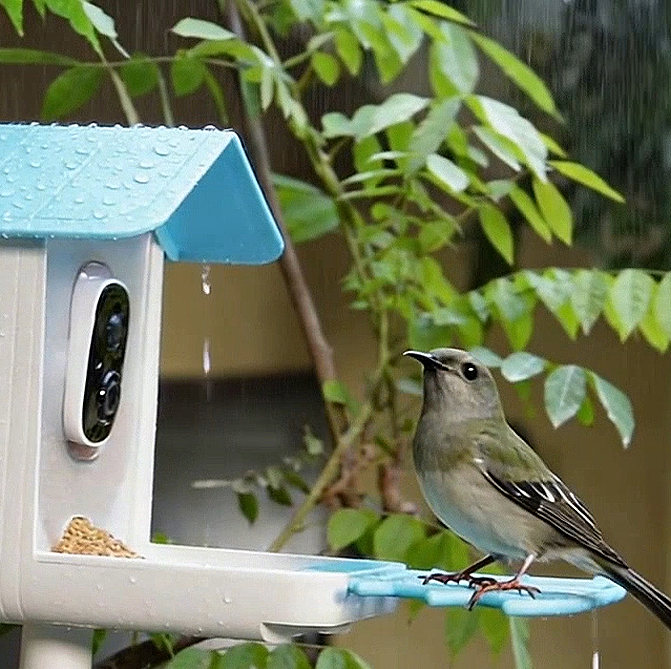 Rain or Shine, Never  Miss A Visit.