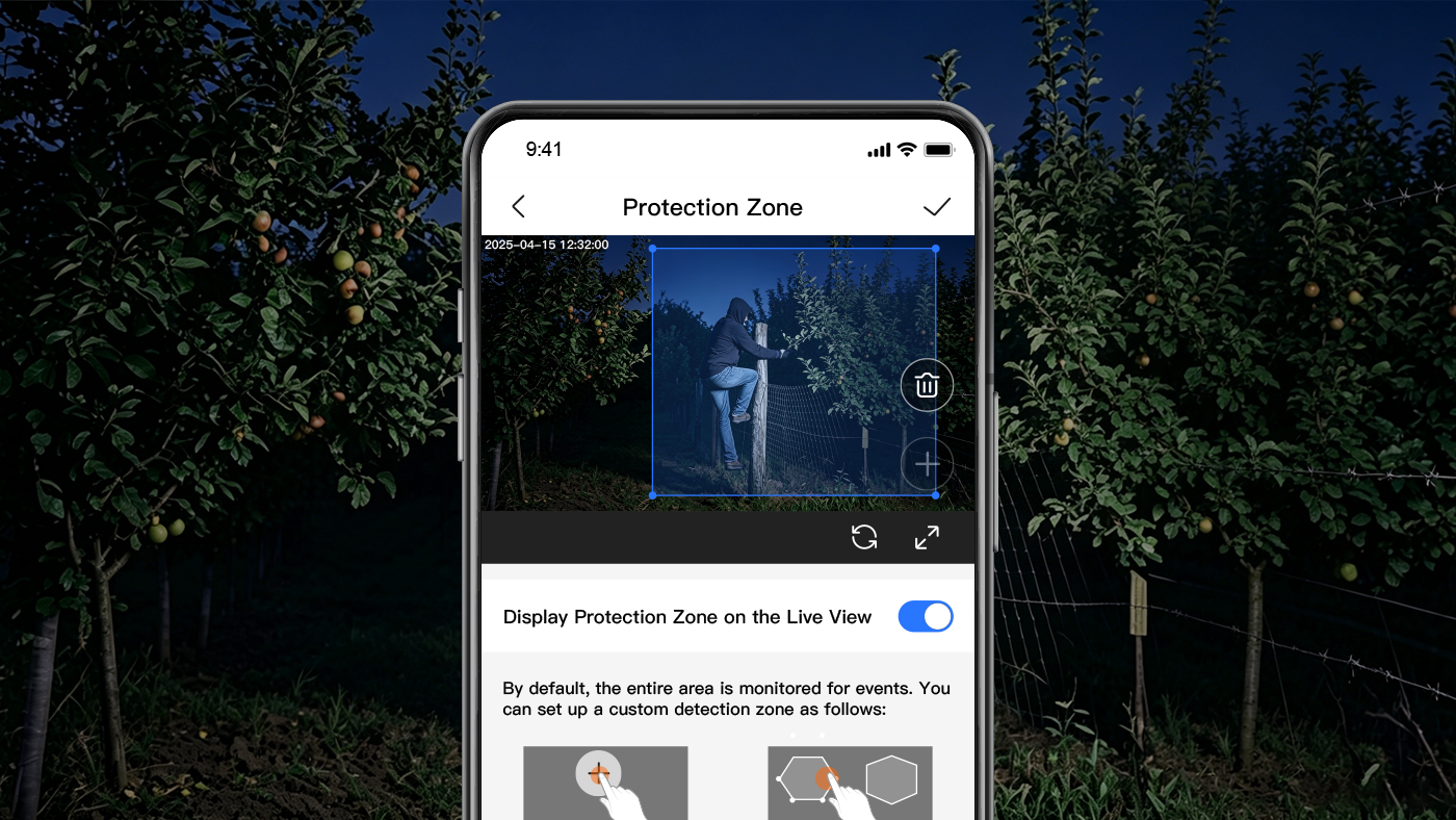 Detection Zones