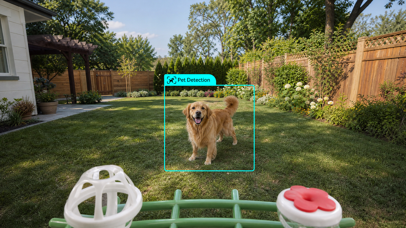 Pet Detection