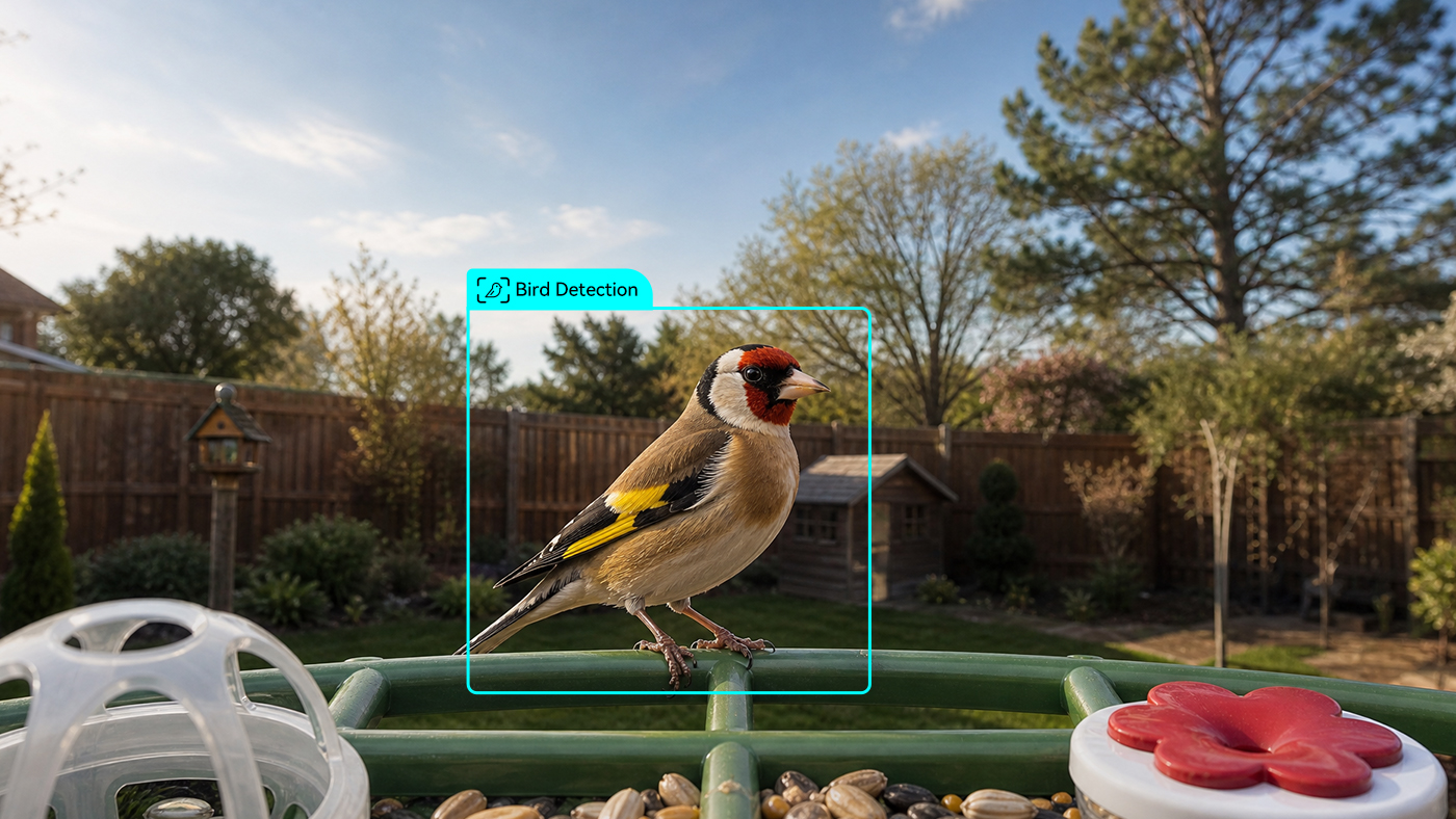 Bird Detection